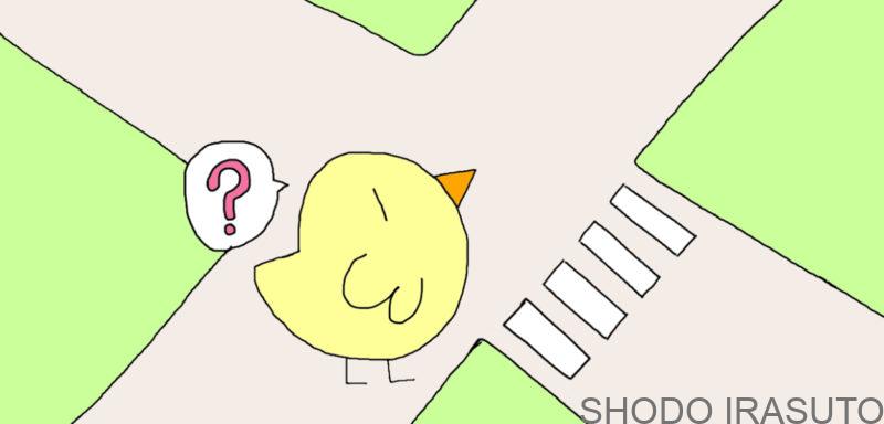 イラストの練習 顔は十字線ですべてが決まる インコと書道ガールのイラスト練習 イラストの練習 顔は十字線ですべてが決まる インコと書道ガールのイラスト練習