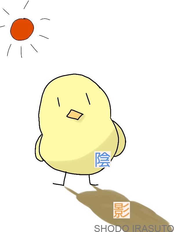 影の描き方を知るために必要な知識を振り返ろう インコと書道ガールのイラスト練習 影の描き方を知るために必要な知識を振り返ろう インコと書道ガールのイラスト練習